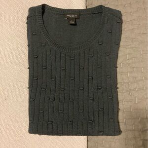 Clearance—priced for quick sale! Ann Taylor Factory sweater vest